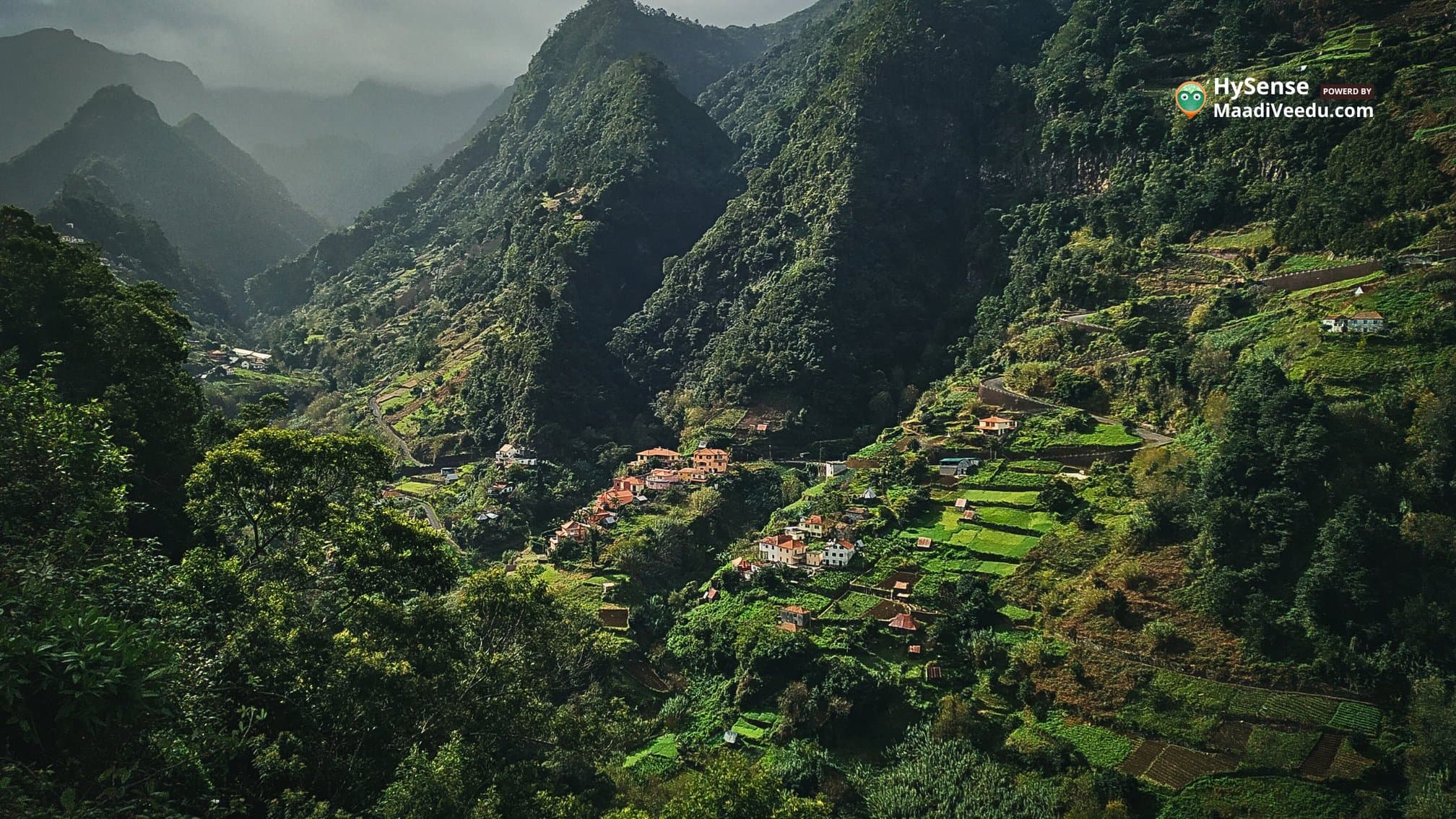 Why Palakkad is the Number 1 Real Estate Choice for NRIs: 7 Key Reasons